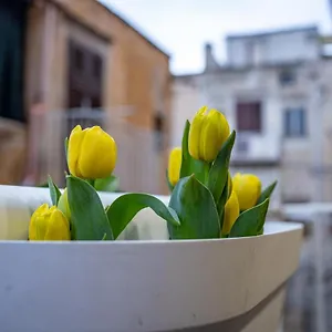  Holiday home Termini Italy
